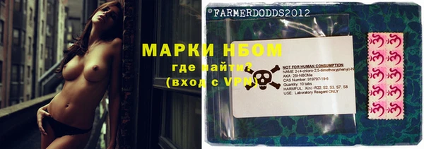 шишки Каменногорск