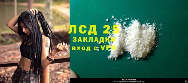 шишки Каменногорск