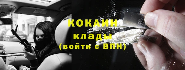 шишки Каменногорск
