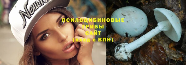шишки Каменногорск