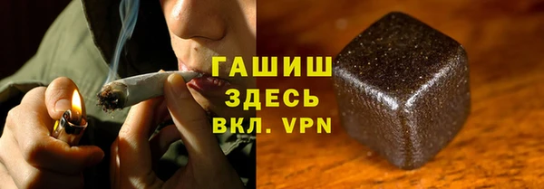 шишки Каменногорск