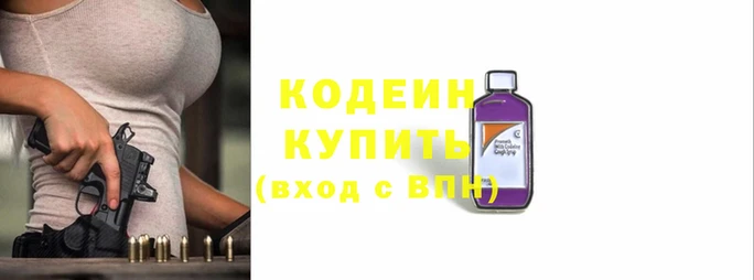 шишки Каменногорск