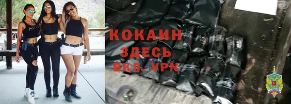 шишки Каменногорск
