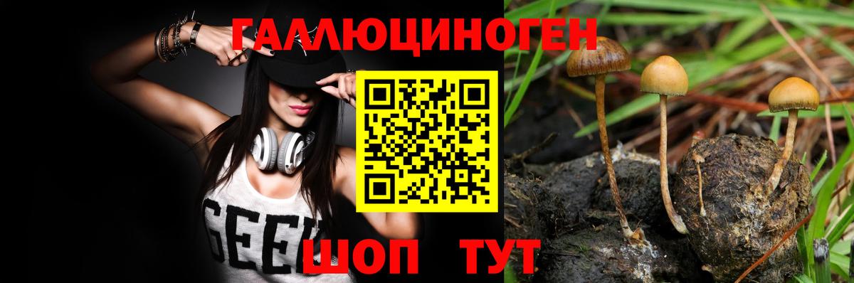 Галлюциногенные грибы Magic Shrooms  наркошоп  Янаул  Вход с VPN 